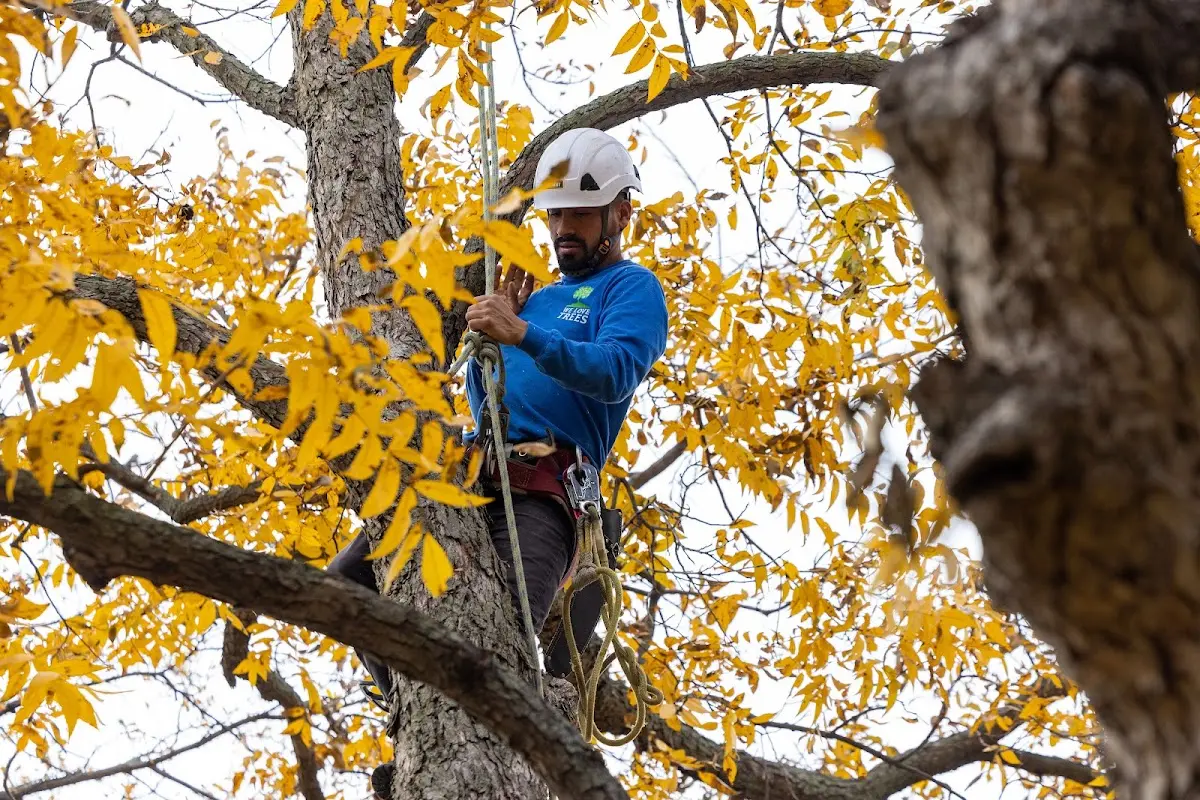 Skilled Storm Damage Cleanup crew working in Deerfield